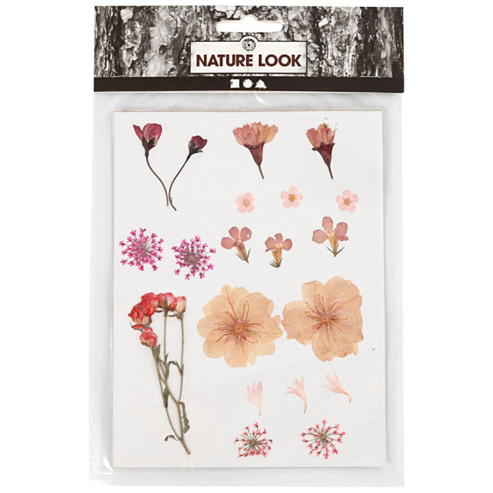 Kuivatut kukat ja lehdet Pinkki ryhmässä Askartelu ja Harrastus / Askartelu / Scrapbooking @ Pen Store (130763)